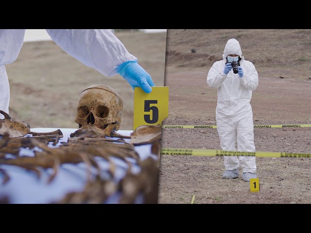Vídeo relacionado con POPETPOP Kit de Investigación Lugar del Suceso 10 Marcadores Forenses Amarillos, Plástico Resistente y Regla en Centímetros para Escenas Profesionales
