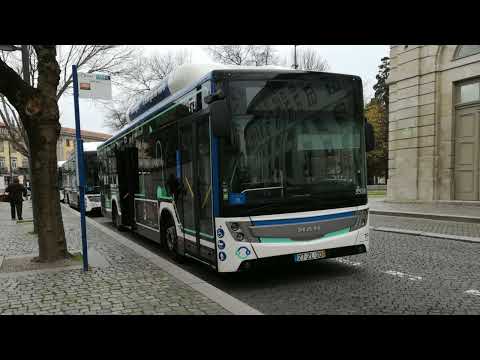 STCP 3378 (audio recording - collab)