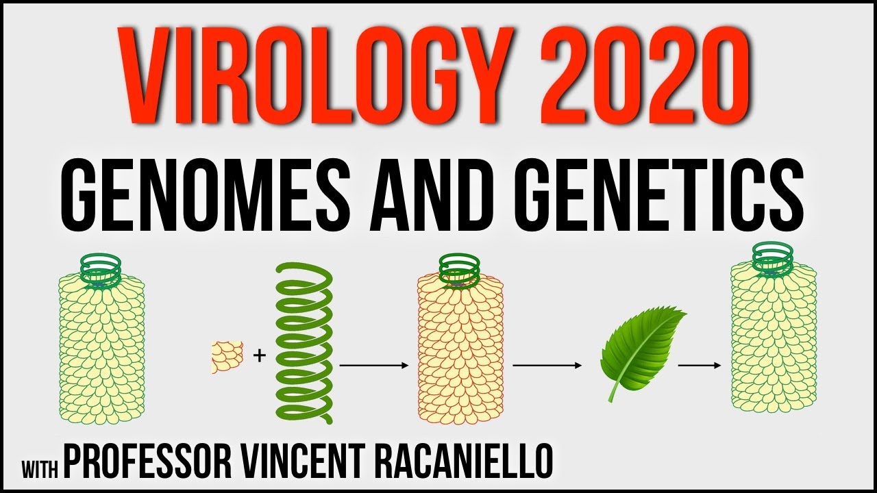 Virology Lectures 2020 #3: Genomes and Genetics