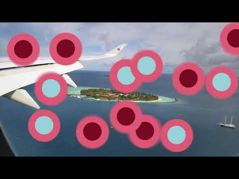 Videos del Lily Beach Resort Spa 5★ en Dhangethi, MaldivasVer MásVerPrecios19CerrarConsulta por Whatsapp 🇦🇷BookingTripadvisorExpediaAgodaTravelocityOrbitzPricelineTripSkyscannerDespegarKayakHotelesDestiniaTrivagoTurismocityLastminuteHotwireTuiWotif