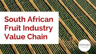 South African Fruit Industry Value Chain