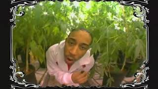 Ludacris - Blueberry Yum Yum  (Feat. Sleepy Brown) (HD) 2004