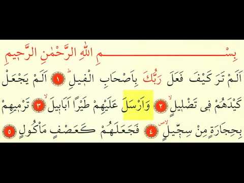 Fil Suresi - Ok Takipli Kur'an-ı Kerim Tilaveti