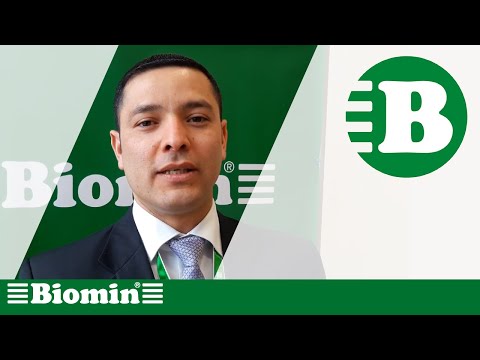 Powder feed acidifier for pig feed by dsm, 25 kg, packaging ...