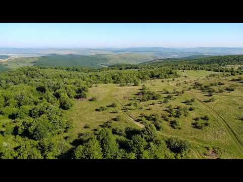 Shogun feat. Tania Zygar - Find Me