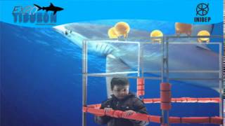 DIA 2 Expo Tiburon128