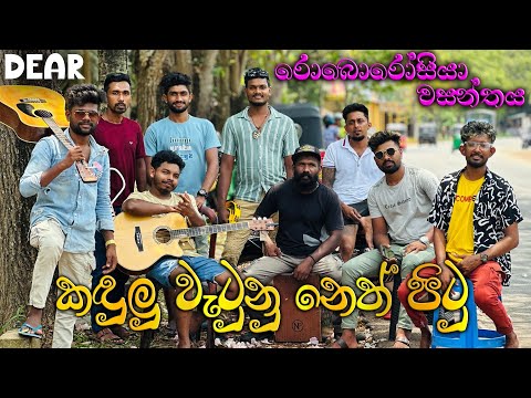 kandulu watunu neth | තව සිතැඟි හංගන්නෙපා | Sinhala cover song | Nadeera nonis | @dearsrilanka