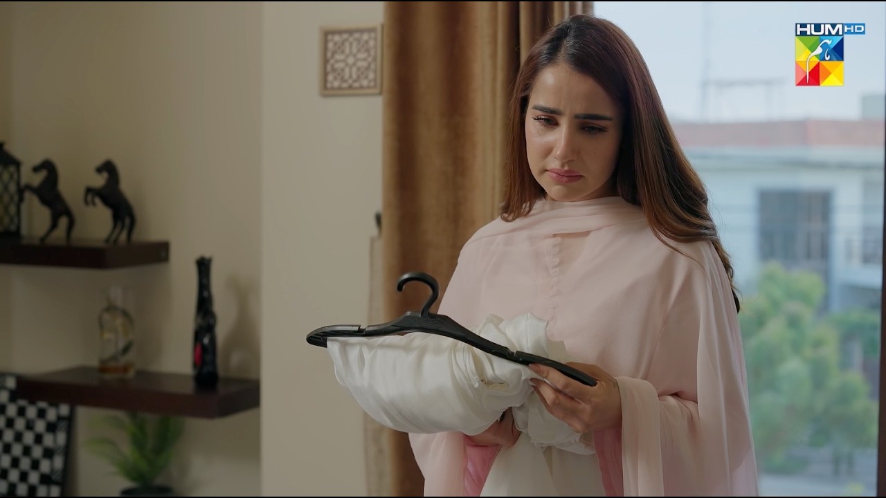 Aabiz Ki Shadi Aila Se Teh Karne Ja Rahy..! Naraz Hai Zindagi - HUM TV