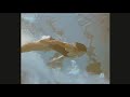 A Swimming Scene From An Old Chinese Movie