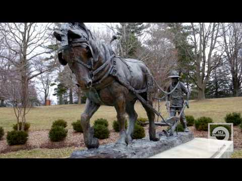 Orchard Park, New York - MJ Peterson "Great Places To Live"