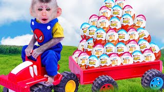 The Farmer in the Dell | Baby Monkey Nursery Rhymes & Kids Songs