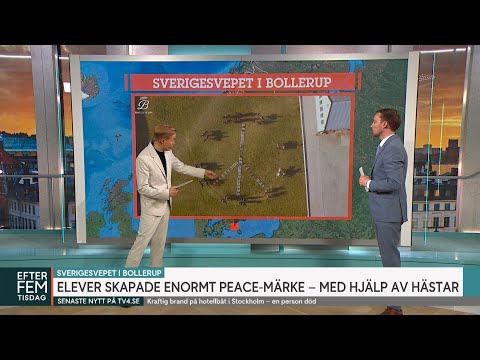 Elever skapade enormt peace-märke – med hjälp av hästar | Efter fem | TV4 & TV4 Play
