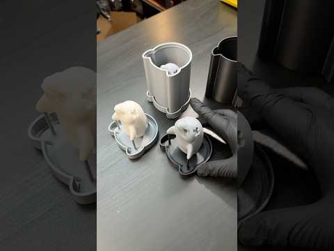 Custom 3-D printed silicone mold box for my dead dolphin, nigiri sushi toy