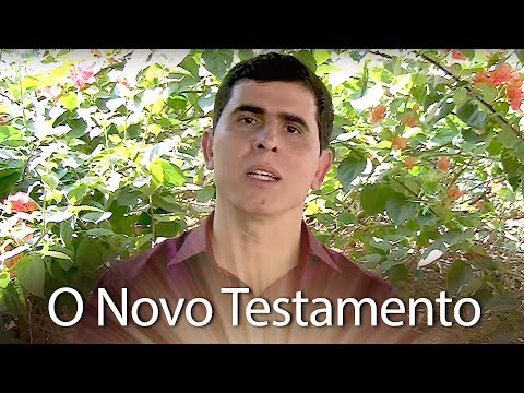 Livros que Iluminam Indica: Livro O Novo Testamento