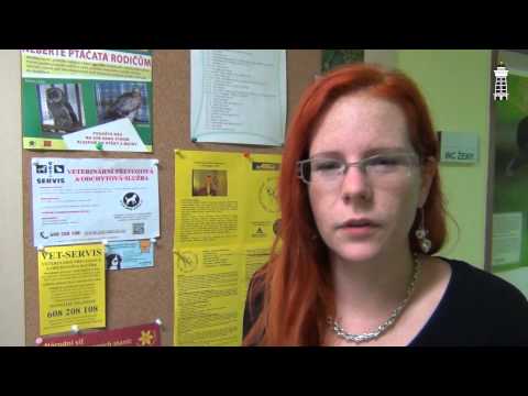 KBELY TV - Nové dětské hřiště