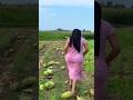 Ranu Bombai Ki Ranu Ramu Rathod Likhitha Shrots Youtubeshorts Trending Dance Cutesoptosthita14