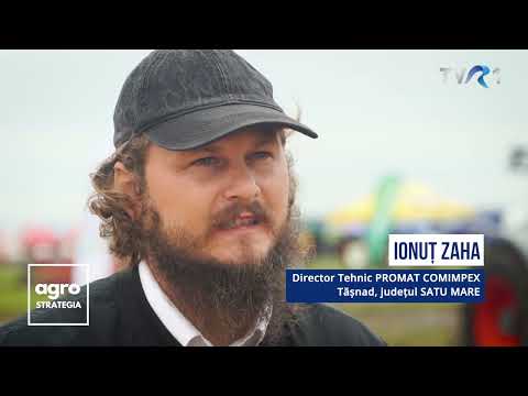 Corn Day 2025, in Vezendiu. Field show with corn hybrids available in the market