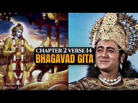Bhagavad Gita: अध्याय 2 श्लोक 14 || Mahabharat edit ❤️‍🔥