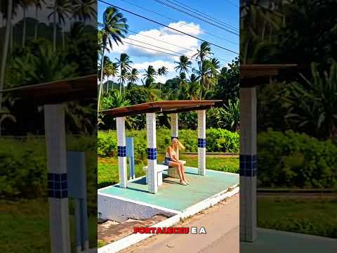 Como Nasceu Capim, na Paraíba? #capim #paraíba #nordeste #cidade