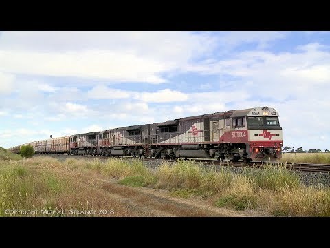 Triple SCT Class Locomorive / 1MP9 Freight Train - PoathTV Australian Railways