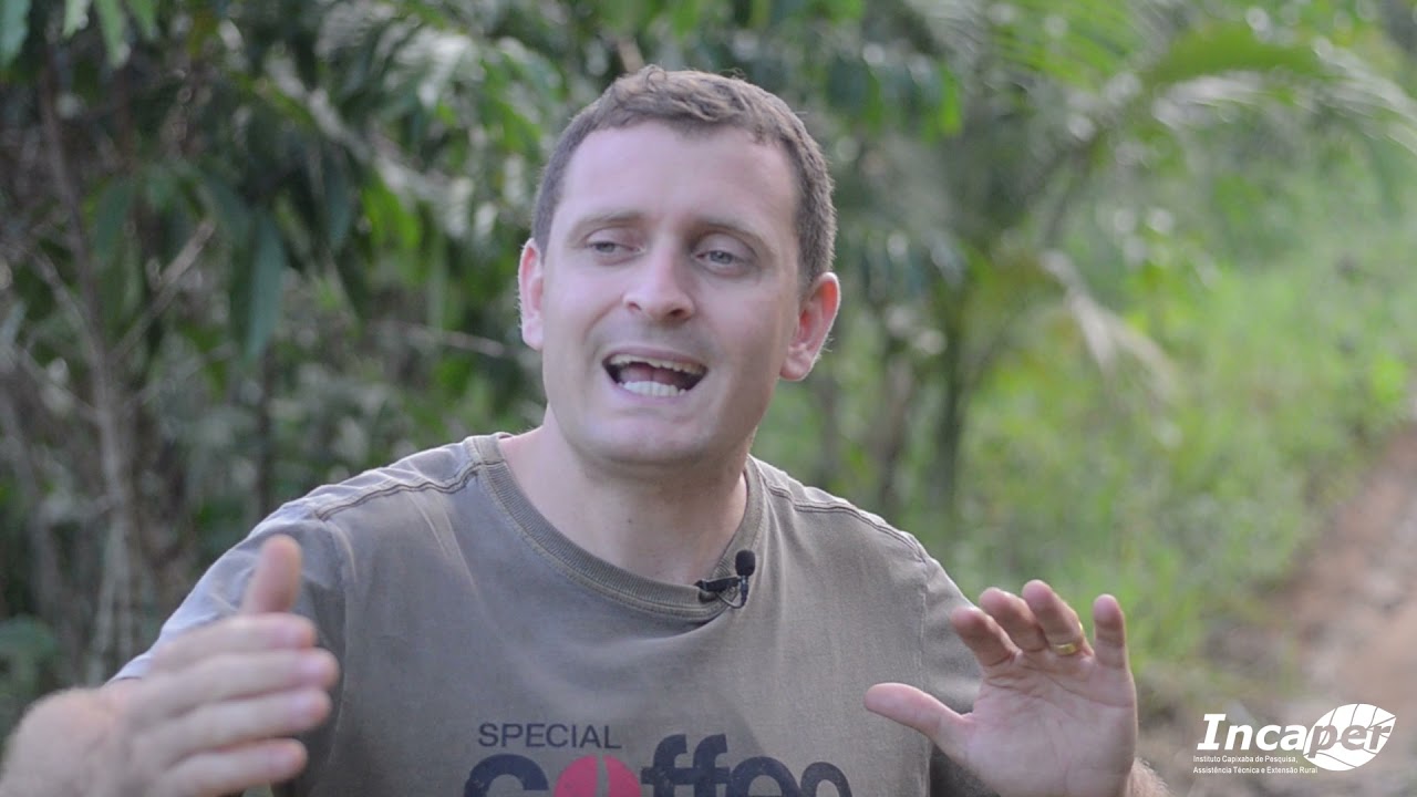 Aprenda a Produzir Café Conilon Especial