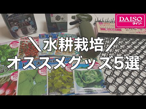 , title : '【DAISOで買える】水耕栽培オススメグッズ5選'