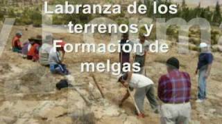preview picture of video 'AGRICULTURA ORGANICA EN TARATA-TACNA'