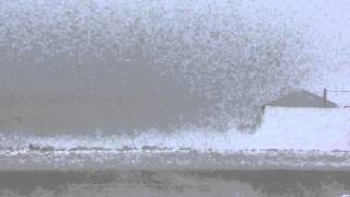 preview picture of video 'Blizzard of 2015 Winds Nantasket Beach, Hull, MA'