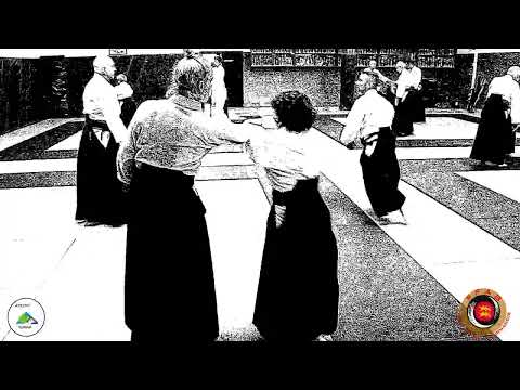 Stage Aïkido - Michel Benard Shihan 7ème Dan : Aïkido et JO, Agneaux Samedi 8 novembre 2025