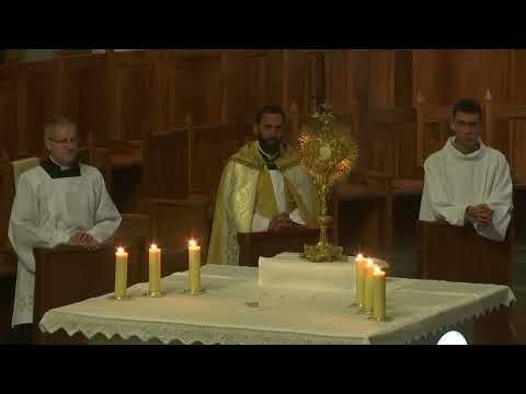 Procession eucharistique du Sanctuaire de Lourdes October 30, 2025 🙏