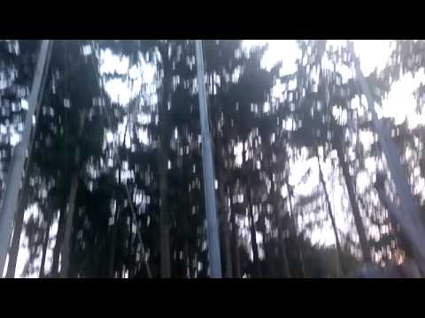 Knallende feestavond prins en raad