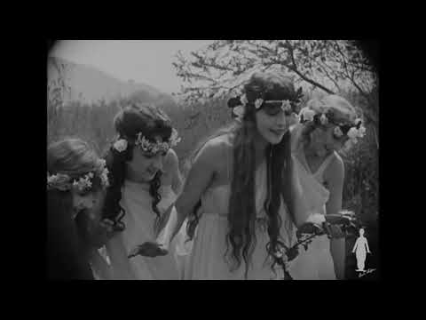 Charlie Chaplin misplaces a herd of cattle   Clip from Sunnyside 1919