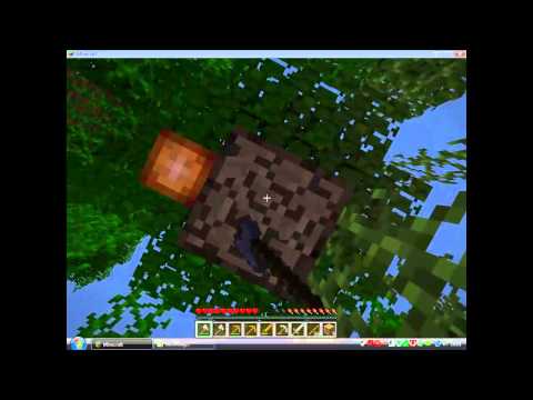 Jak žijí začátečníci (Minecraft)