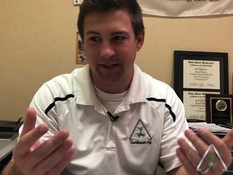 A Holistic System | The Dynamic Continuum EP. 086