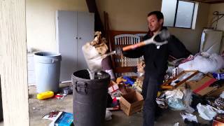 preview picture of video 'JUNK KING | Garage Clean Out Chico CA'