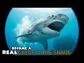 Great White Shark Simulator Dominating The Ocean S Deep In Ultimate Predator