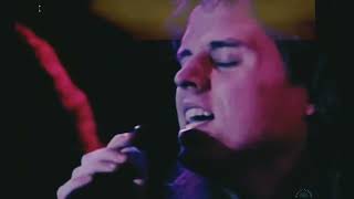 White Heart - Desert Rose (Lyrics and Video)