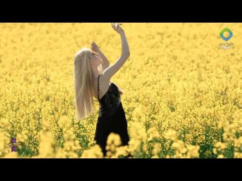 Gerome ft. Cassandra Grey - Memory Lane (Den Rize vs. Levekar Remix) [Emergent Skies] Promo Video