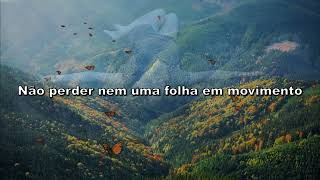 Elisa - Vivere Tutte Le Vite (Tradução)
