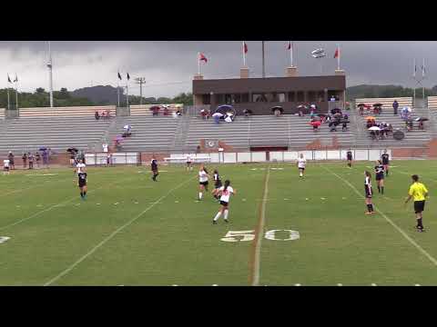 Farragut Lady Admirals 2017: A Thousand Passes