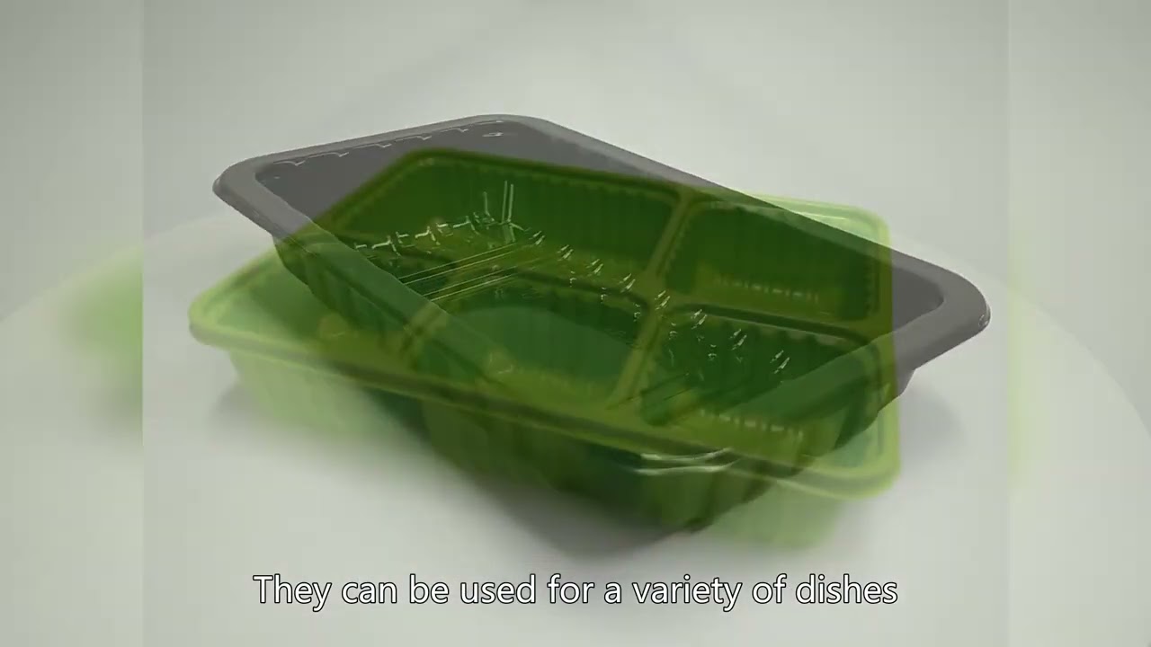 biodegradable plastic container,disposable packaging container,China Factory,Best