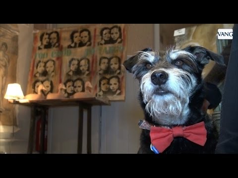 On the road through Barcelona's bitchy side