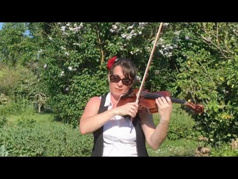 ensemble PTYX - Summer 1 (Vivaldi - The Four Seasons) | Recomposed by Max RICHTER