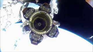 Ricked Wicky - Crystal Titanic