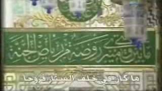 ياباب فاطمة