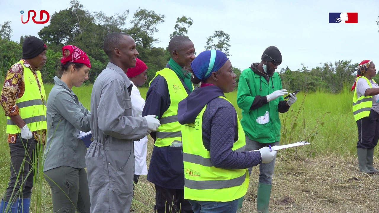 Santé humaine, animale et environnementale au Cameroun  : l'initiative AGRICOM #onehealth