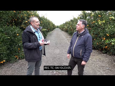 video media thumbnail