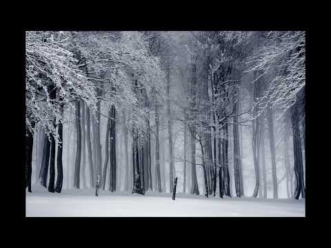 Violinist Deegii Winter (Uvul) 1 Hour loop