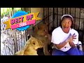 Best Of AFV Part 59 AFV Classics