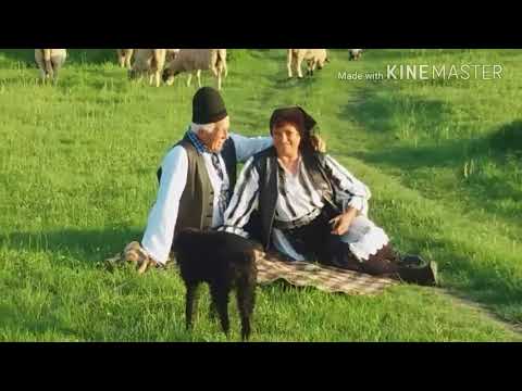 Iosif Manolesc   Iosif Manolesc posted a video to his